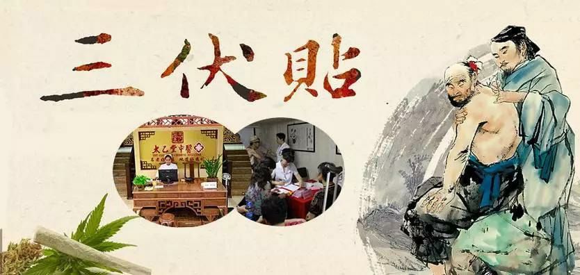 2、什么是三伏貼？三伏貼的作用？